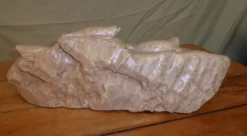 Alternative view of Daniel Renaud