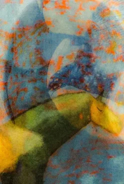 Le corbeau et la licorne